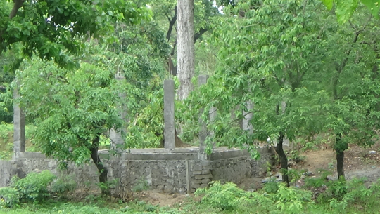 अत्तरियाको दुर्गालक्ष्मी सामुदायिक वनमा गरिएको अतिक्रमण अझै हटेन