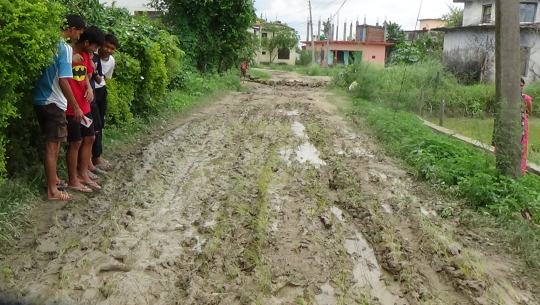 ‘धनगढी उपमहानगरले ३ सय मिटर सडक कालोपत्रे गर्न ३ वर्ष लगाउँदा पनि पुरा भएन’