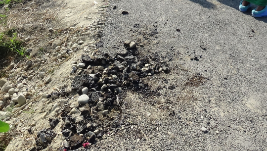 कैलालीको गेटामा हप्ता दिन पनि टिकेन कालोपत्रे