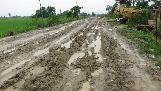 मसुरिया–हसुलिया सडक कालोपत्रेको काम अलपत्र, म्याद सकिँदा १२ प्रतिशत भौतिक प्रगती