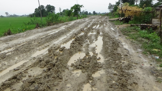 फाइल फोटो 