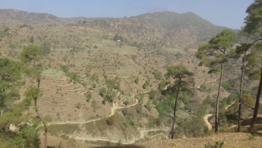 फाइल फोटो