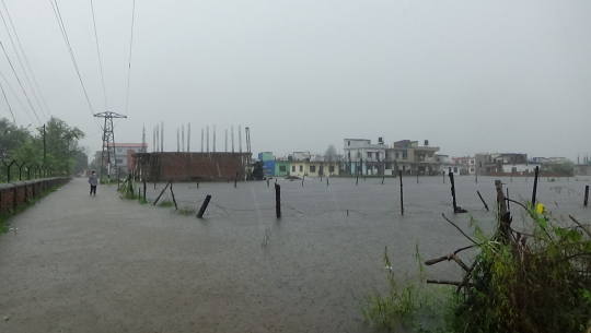 धनगढीमा कौडीको भाउमा बिक्री भयो सार्वजनिक जग्गा, कट्ठाको २३७ रुपैयाँ