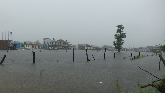 नगर विकास समिति र उपमहानगरका कारण विकराल बन्दै धनगढीमा डुबानको समस्या