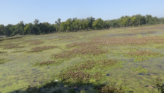 धनगढीको जाखोर ताल सफाइ अभियानले सार्थकता पाएन्