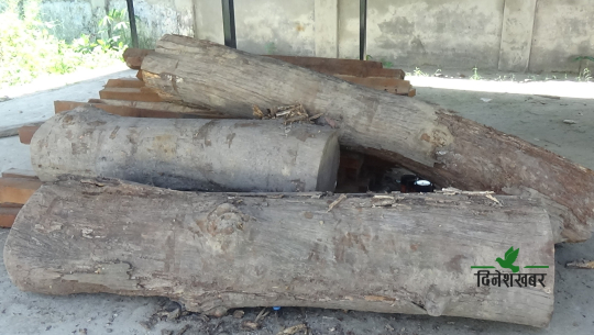 कैलालीमा धमाधम काठ तस्करी हुँदै, वनले बरामद गरेको काठ समेत हुन्छ 'गायब'