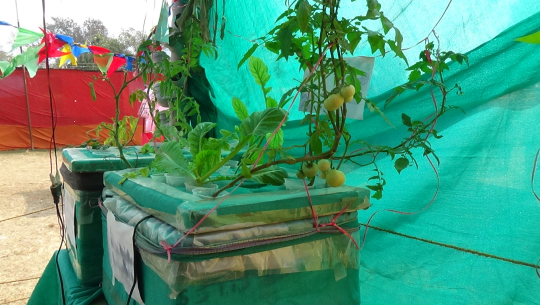 धनगढीमा माटो बिनाको खेती