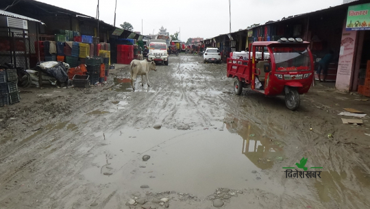 Due to the negligence of Dhangadhi Sub-Metropolitan, the contractor's discretion in public property