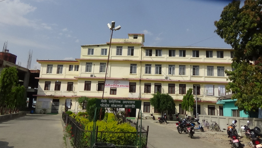 कैलालीमा एकैदिन १८२ जनामा कोरोना पुष्टि