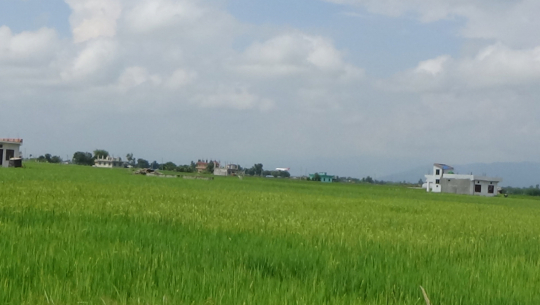 फाइल फोटो