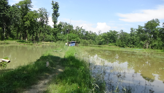 धनगढीमा तालको गुरुयोजना बन्छ, अतिक्रमण हट्दैन