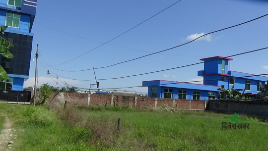 धनगढीमा लच्किएका बिजुली तारको त्रास, निवेदन दिँदा पनि प्राधिकरणले नसुनेको गुनासो