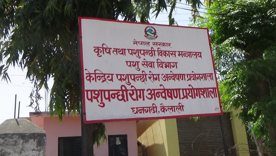 धनगढीमा जडान भईरहेको प्रयोगशालाका थप समाग्री ल्याईयो, आजदेखि परिक्षणको तयारी