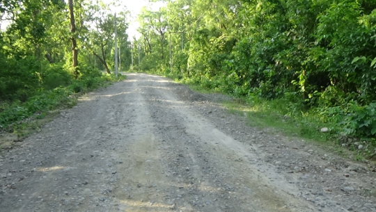 Villages eagerly waiting for electricity