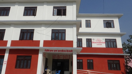 संघीयतापछि वन मुद्दा चलाउन डराउँदै डिएफओहरु, उल्टै मुद्दा लाग्ने चिन्ता