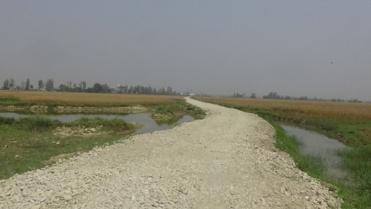 धनगढी विमानस्थलका लागि अधिग्रहण हुने जग्गामा प्रदेश सरकारको सडक योजना