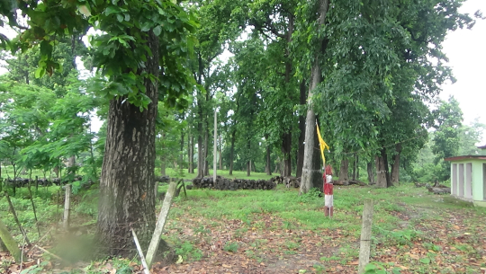 धनगढीको जनकल्याण सामुदायिक वनका पदाधिकारीलाई रकम हिनामिनाको आरोप, अख्तियारमा उजुरी  