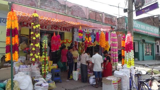 पश्चिम तराईमा तिहारका लागि फूलको अभाव, आयातीत मालाले बजार पायो