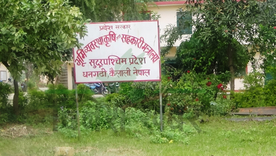 सुदूरपश्चिमको कृषि मन्त्रालयद्वारा कागजमा बगैँचा देखाएर दुई लाख स्वाहा !