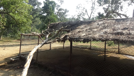 धनगढीमा गौशालाको छाना भत्किएको ६ महिना सम्म मर्मत भएन
