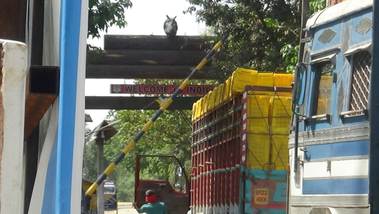 ‘भारतीय तरकारी ल्याउन पाइने तर अलपत्र नेपालीलाई आउन नदिने याे कस्तो नियम ?’