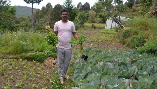 लकडाउनमा डडेल्धुराका किसानको काइदा, तरकारी उब्जाएर फाइदैफाइदा