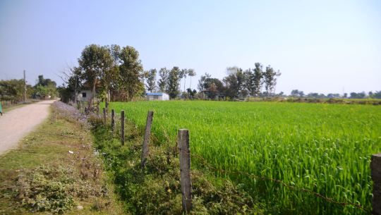 दुर्घटनामा अपाङ्ग भएका रावतबाट हडपेको जग्गा बिक्री गर्न पत्रिकामा सूचना