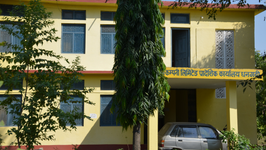 कैलालीमा कर्मचारीको मिलेमतोमा अनुदानको मल खुलेआम प्राइभेट एग्रोभेटबाट बिक्रि