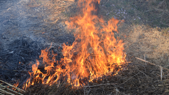 चुरेमा भीषण डढेलो, यो वर्ष पनि कैलालीका वन जलेर खरानी हुने पीर