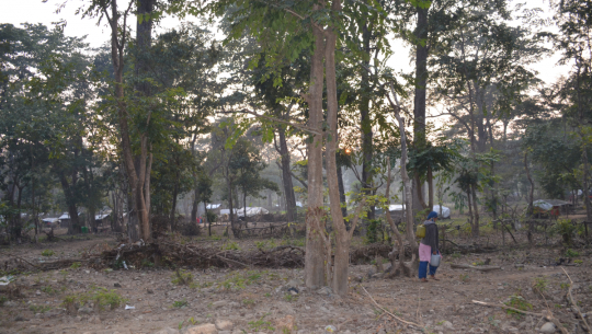 नक्कली पहिरोपीडितबाट कैलालीको चुरे फेदीमा वन कब्जा, खरिदबिक्री हुँदै