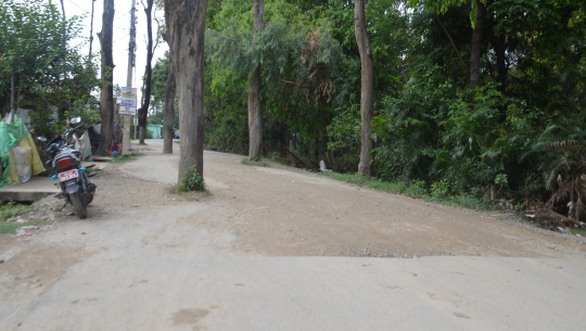 धनगढीमा २८४ रुख बिच सडकमा राखेर कालोपत्र, उपमहानगरलाई सडक हस्तान्तरण