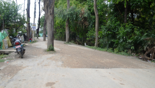 धनगढीमा सडकको बिच भागमा परेका रुखहरु हटाइदै