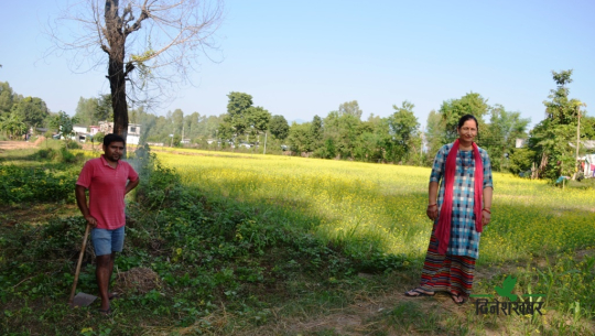 कञ्चनपुरका बाढीपीडित किसानको गुनासो, ‘क्षतिको विवरण लिन कोही आएनन्, राहतको आस छैन’