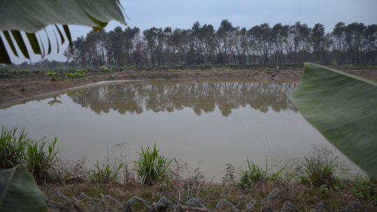 कृषि अनुदानका नाममा सुदूरपश्चिम सरकारको ठगी !