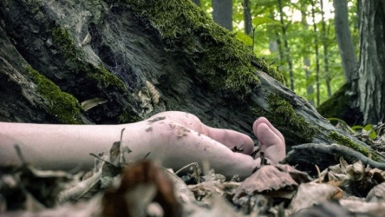 बझाङमा भिरबाट लडेर एक महिलाको मृत्यु