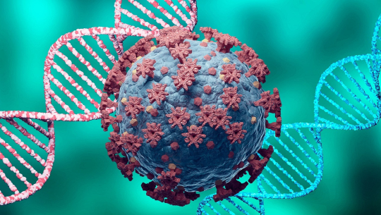 बाजुराका एक बालकमा कोरोनाको डेल्टा भेरियन्ट देखियो