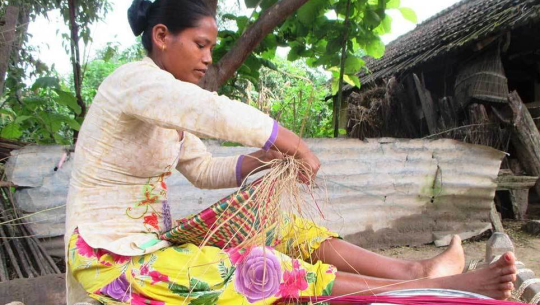 कैलालीमा फुर्सदिला थारू समुदायका महिला ढकिया बुन्दै