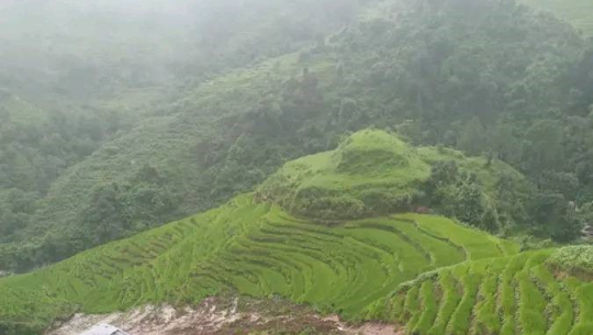 डोटीको धिर्कामाण्डौँमा पहिरो जाँदा ६ जनाको धान नष्ट