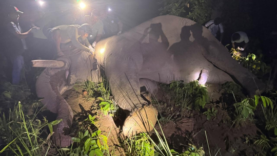 ‘ध्रुवे’लाई ‘रेडियो कलर’ जडान गरेर छाडियो
