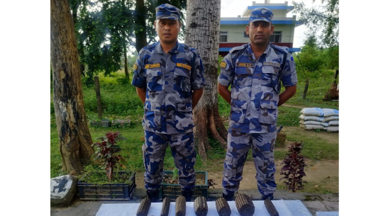 डोकेबजारबाट ३ किलो ८५० ग्राम चरेस बरामद
