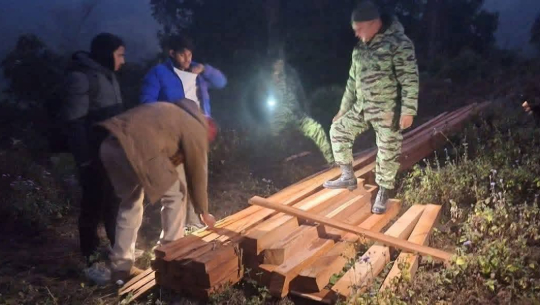 चुरे गाउँपालिकामा अवैध वन फँडानी, सालका २०० कडी काठ बरामद 