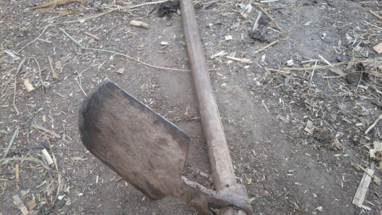 फाईल फोटो 