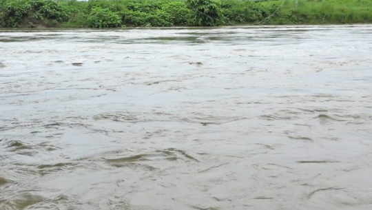 धनगढीमा नदीमा डुबेर एक जना बेपत्ता