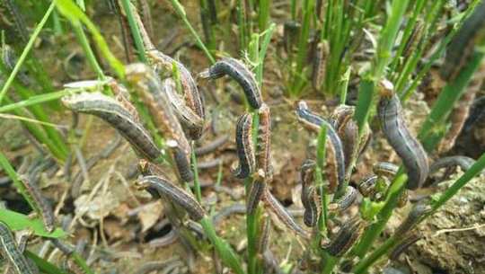 फाईल फोटो 