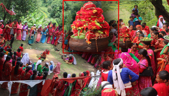 सुदूरपश्चिमको मौलिक पर्व गौराको चहलपहल बढ्यो