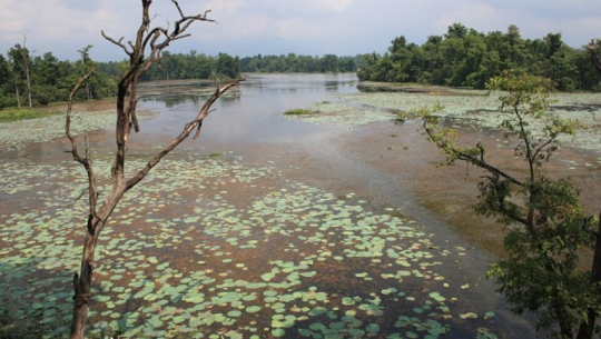 Ownership conflicts hinder wetland conservation in Kailali