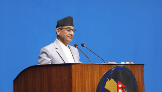 भिजिट भिसाबारे गठित उच्चस्तरी छानविन समितिको कार्यादेशबारे सदनलाई जानकारी