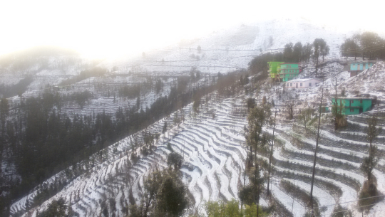 सुदूर पहाडमा हिमपातले जनजीवन कष्टकर, यातायात र विद्युत अवरुद्ध