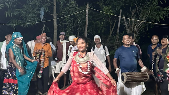 थारू बस्तीमा हुर्डुङग्वा नाचको रौनक