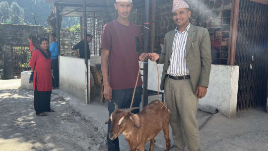 बझाङ कारागारका कैदीबन्दीलाई एमालेका युवा नेता महरको खसी उपहार